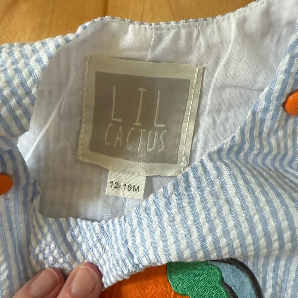 Lil Cactus Boys Fall Seersucker Romper Blue White 12-18 mo Fall Pumpkin Truck